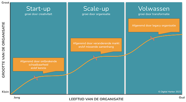 3 Fasen van Groei